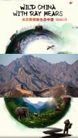 P617米尔斯探秘生态中国（高清版）2021年中英合拍大型纪录片