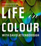 P702多彩生活/生命之色（高清版） (2021) 豆瓣评分9.4分，网飞原创纪录片神作