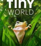 P721小小世界 第二季（高清版）2021苹果出品纪录片杰作