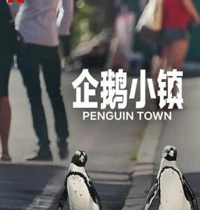 Q732-733企鹅小镇 2碟装 2021 网飞出品2021最新自然与生态纪录片佳作