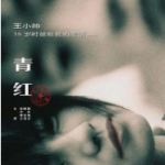 Q767青红（高清版） 2005 高圆圆领衔主演