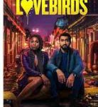 Q787爱情鸟的自救 2020