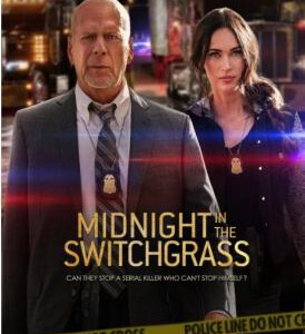 Q821午夜的柳枝(2021)