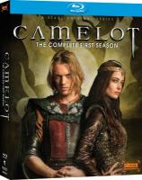 Q863-864圣城风云/卡梅洛特 Camelot (2011) 2碟  豆瓣评分 6.2
