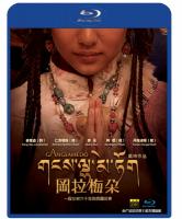 Q875冈拉梅朵 (2008)  豆瓣6.3