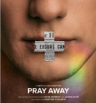 R600反同运动的前世今生 2021网飞最新上映纪录片