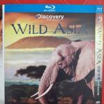 R617-620狂野亚洲 2010 4碟