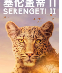 R748-749塞伦盖蒂 第二季 2碟装（高清版） 2021纪录片