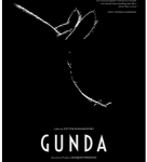 R802贡达 2020 纪录片