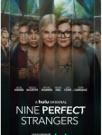R813-814九个完美陌生人 2碟装（高清版） 2021最新美剧大作