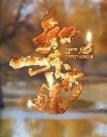 R883-884知味新疆 2碟装（高清版）不支持PS机