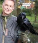 R885-886动物界的爱因斯坦 第一季 2碟装（高清版） 2021英国BBC上映纪录片佳作