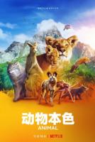 S848-849动物本色 第一季 2碟装  2021年网飞最新上映动物纪录片大作