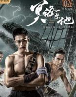 S860海盗王（高清版） 2021年国内上映动作奇幻冒险佳作