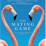 S868求偶游戏 2021纪录片 大卫·爱登堡爵士担任解说