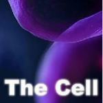 T606-607 BBC 细胞 2碟装（高清版）