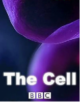 T606-607 BBC 细胞 2碟装（高清版）