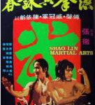T674洪拳与咏春(高清版) 1974 邵氏头号招牌导演 张彻 自编自导