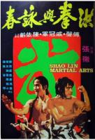 T674洪拳与咏春(高清版) 1974 邵氏头号招牌导演 张彻 自编自导