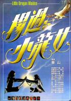 X707杨过与小龙女 1983 张国荣 翁静晶 领衔主演港产古装武侠爱情经典