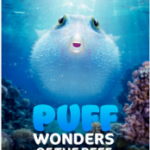 X898河豚之家：神奇的珊瑚礁 2021网飞最新上映海洋动物纪录片