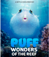 X898河豚之家：神奇的珊瑚礁 2021网飞最新上映海洋动物纪录片