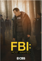 Y696-698联邦调查局:通缉要犯 第2季 3碟装 高清版,不支持PS