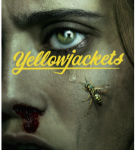 Y833-834黄蜂 第1季 2碟装  2022 看一集就高能的惊悚美剧