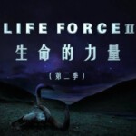 Y847-848生命的力量 第1季+第2季 2碟装 高清版