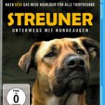 U605在迷途/浪浪历险记 Stray (2020）豆瓣7.0