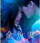 U791-792金鱼妻 2碟装 2022年日本Netflix上映剧情爱情佳作