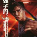 U858-861甄子丹经典电影合集一 4碟 高清版