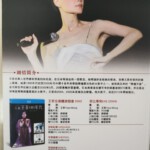 U876-877“天后”王菲00年代经典演唱会 2碟装 高清版