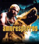 V614爱情是狗娘/狗男女的爱 Amores perros (2000)豆瓣8.2