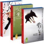 N200-202云门 - 行草三部曲 3碟