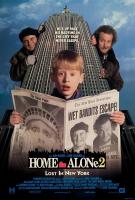 V689小鬼当家2 Home Alone 2：Lost in New York （1992） 豆瓣8.0