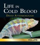 V718冷血生命/冷血动物面面观 Life In Cold Blood (2008) 高清版