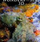 H1024 BD50 奇妙的海洋 2D+3D 50G