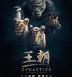 D1550-1551 BBC王朝 第2季 2碟 正式版 2022 豆瓣9.5！BBC超燃纪录片