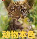 V874-875动物本色 第二季 Animal Season 2(2022) 2碟 高清版 豆瓣8.7