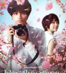 W679我的樱花恋人 2022 深川荣洋执导的爱情电影