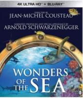 A16-25 4K-UHD 奇妙的海洋 Wonders of the Sea (2017) 导演剪辑版