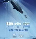 W723-734 BBC地中海 高清版 2碟装 2022探索令人惊叹又危机四伏的地中海