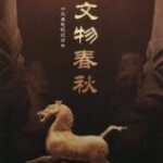 W843文物春秋 高清版 纪录片