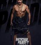 B1291巴克汉·潘迪/独眼龙传奇(2022) 印度 高清版 犯罪动作大片