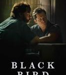 B1432-1433黑鸟 2碟装 2022年苹果TV最上映剧情犯罪大作