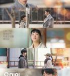 B1445-1446柔美的细胞小将 第2季 2碟装 2022 高清版