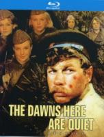 B1474这里的黎明静悄悄 (1972) 带国配 豆瓣8.7