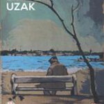 C1006远方/遥远 Uzak (2002)豆瓣8.3