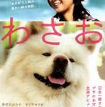 C1017秋田犬蓬夫/松毛犬小威 (2011) 日本 豆瓣6.2